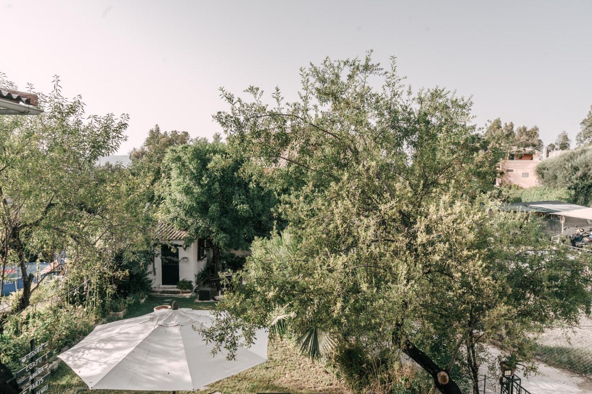 Sea Sailing Apartments Kontokali Dış mekan fotoğraf